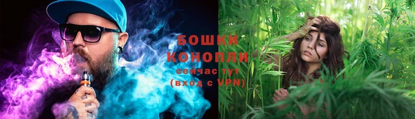 PSILOCYBIN Баксан