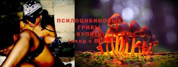 PSILOCYBIN Баксан